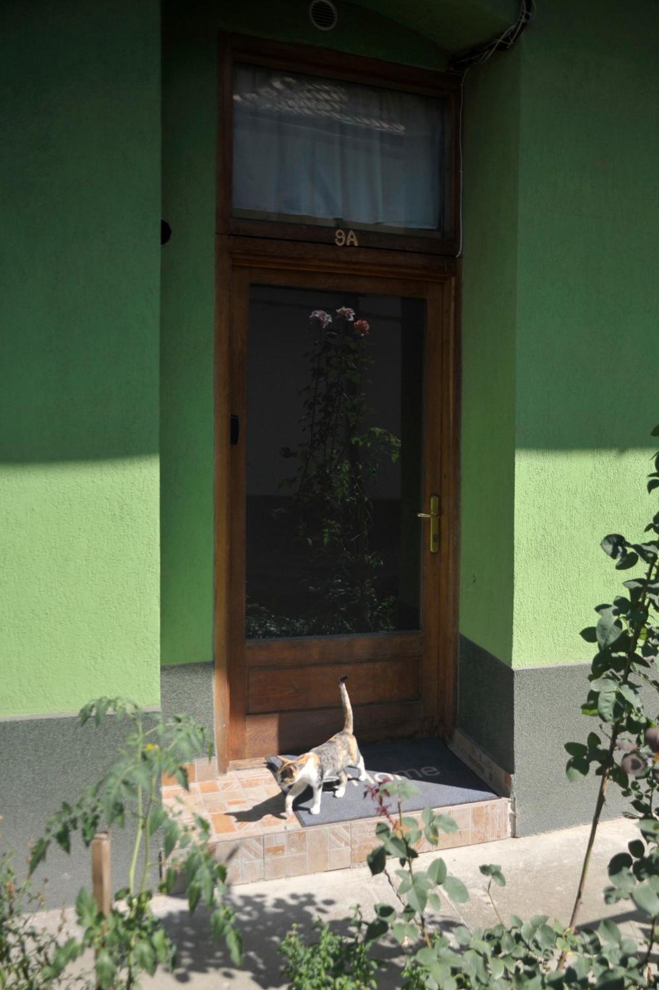 Atu Central Apartment Cluj-Napoca Exterior foto